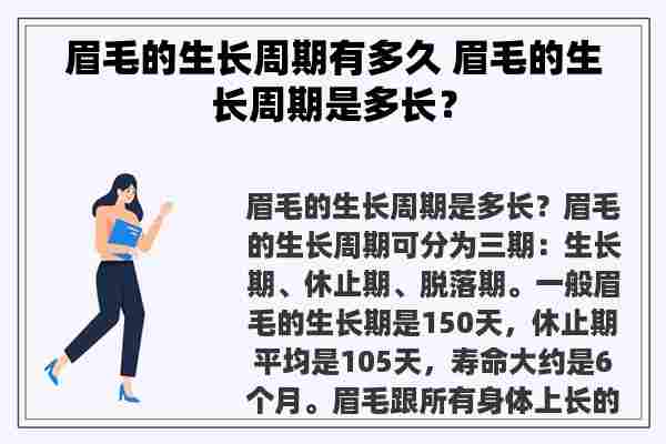 眉毛的生长周期有多久 眉毛的生长周期是多长？